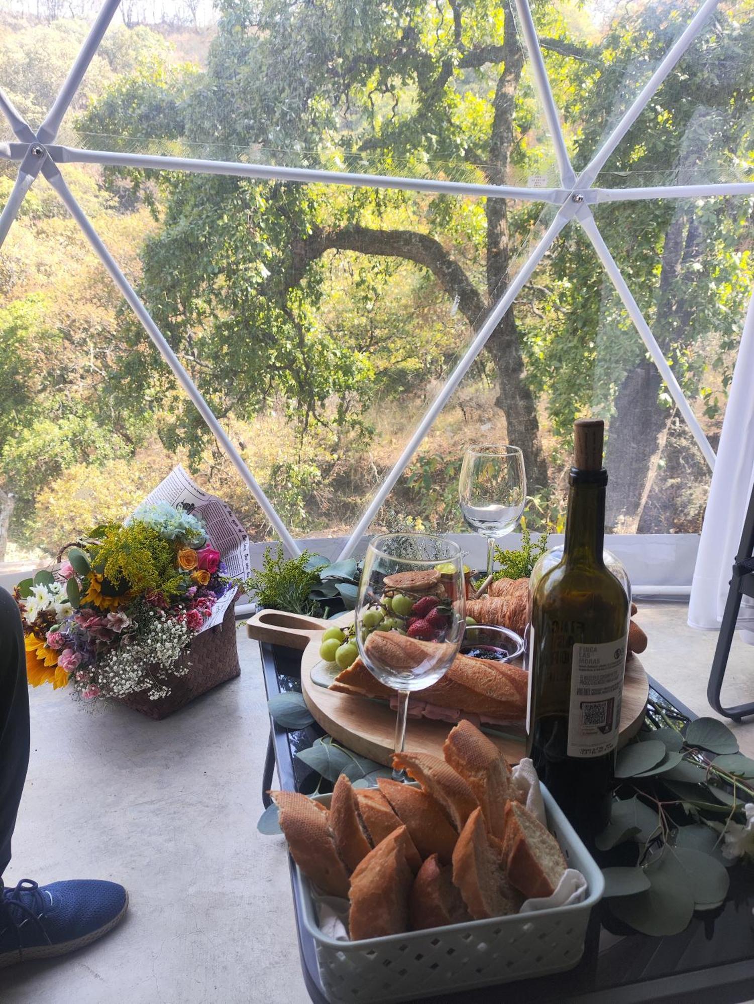 Glamping Domo Geodesico Moderna Camping